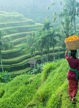 Bali Packages