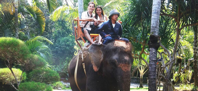 Bali-Zoo_1