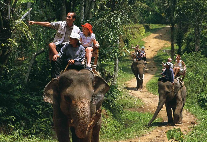 1460694475-73db93bcb8-true-balinese-experience-gogonesia-elephant-trekking – Copy