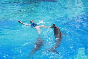 Discover and Book The Best Activities