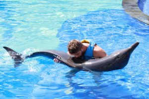 Discover and Book The Best Activities